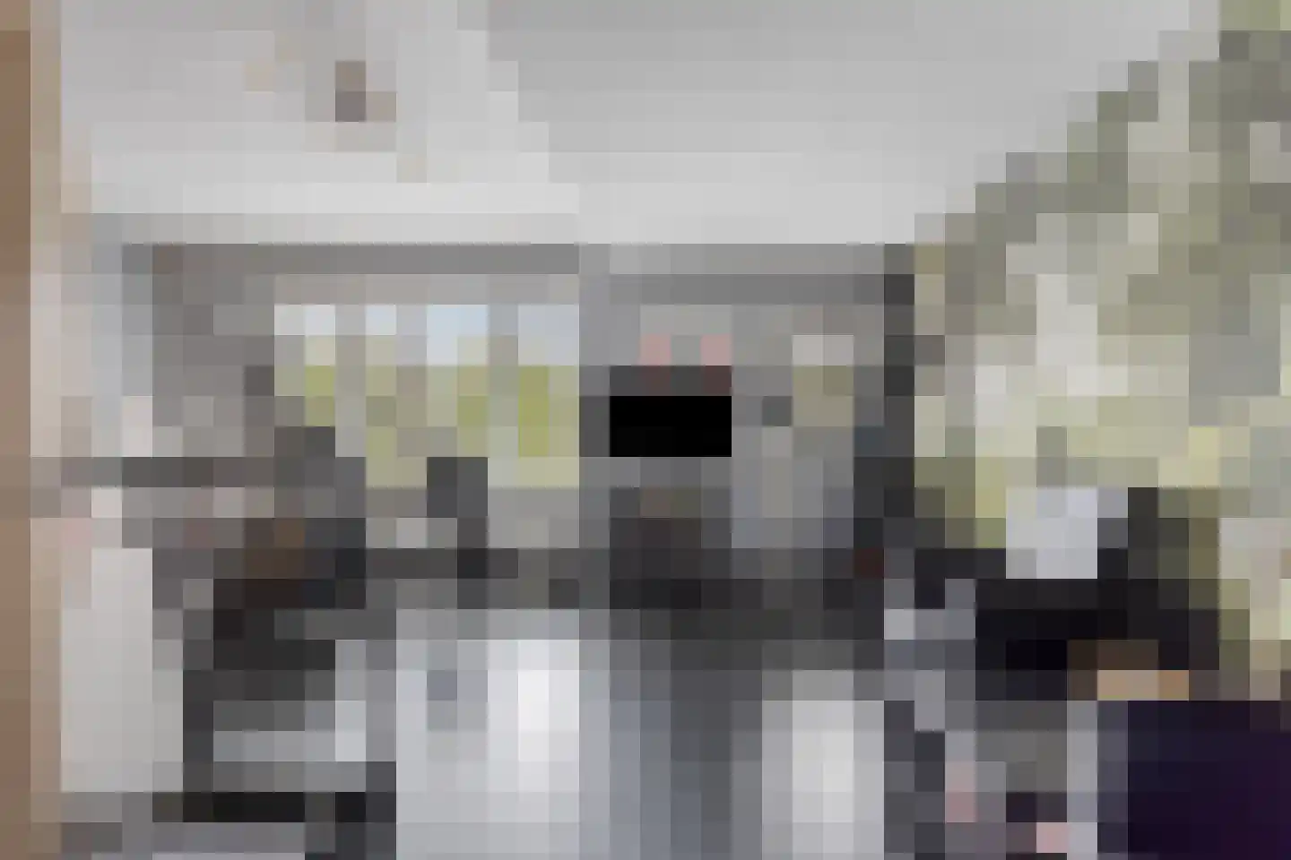 Molenaarlaan 8 Sittard thumbnail 42