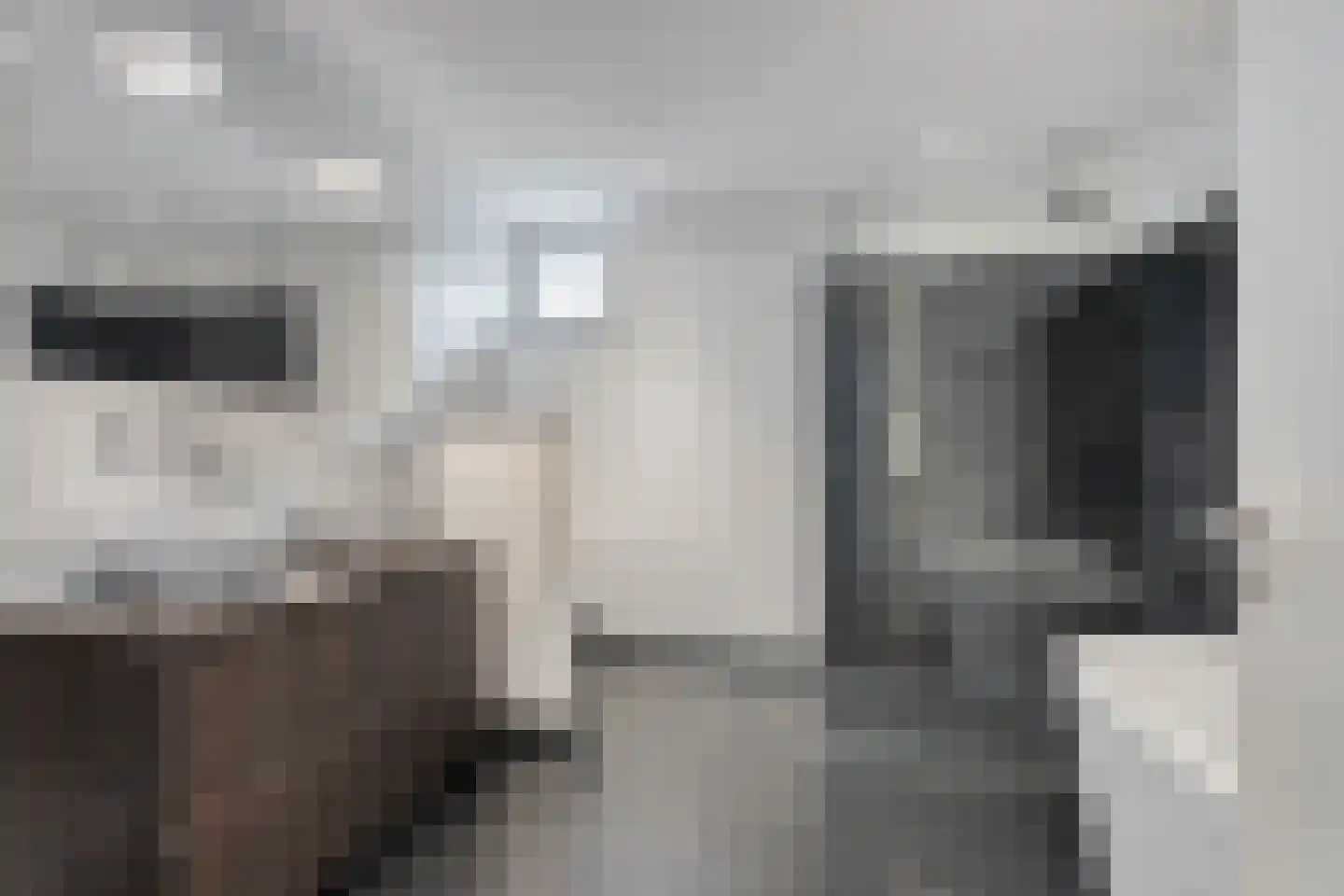 Molenaarlaan 8 Sittard thumbnail 61