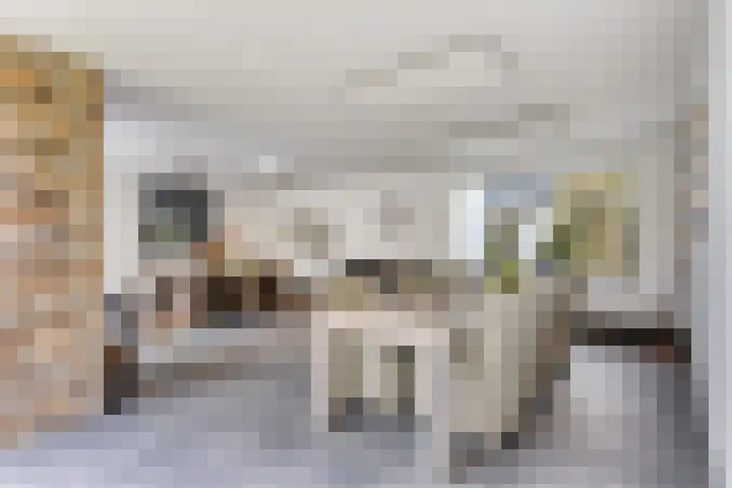 Molenaarlaan 8 Sittard thumbnail 79