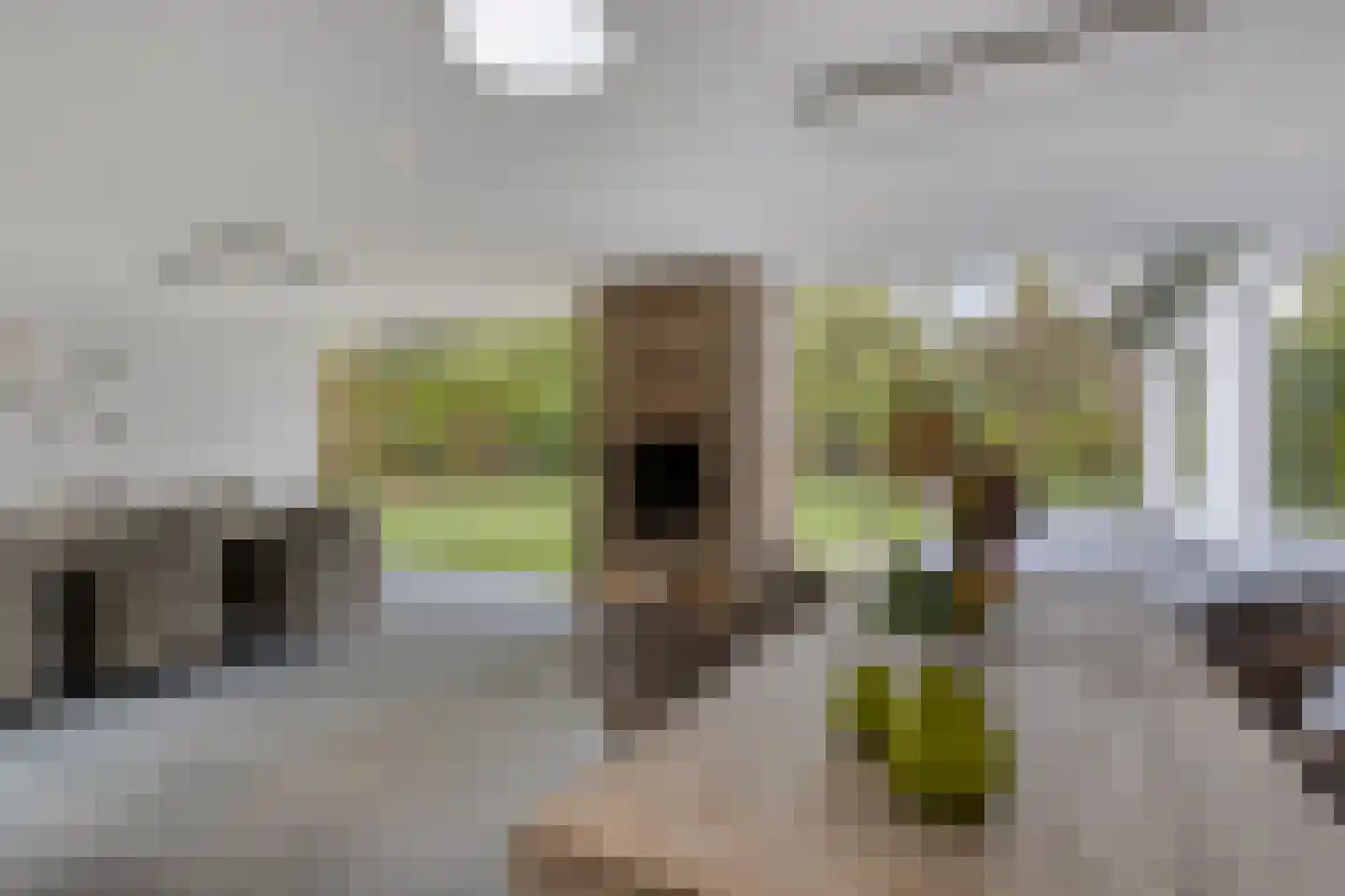 Molenaarlaan 8 Sittard thumbnail 81