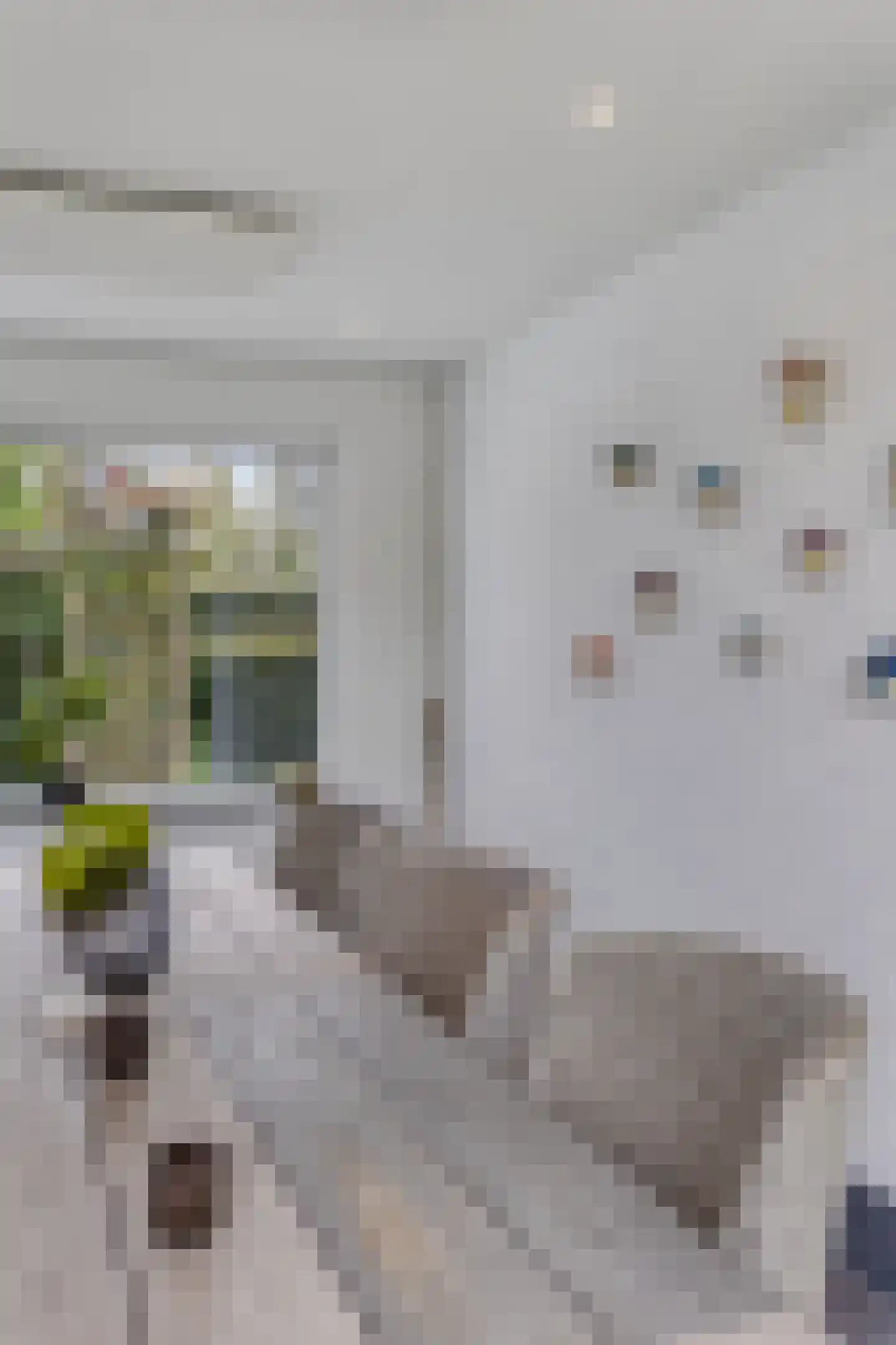 Molenaarlaan 8 Sittard thumbnail 83