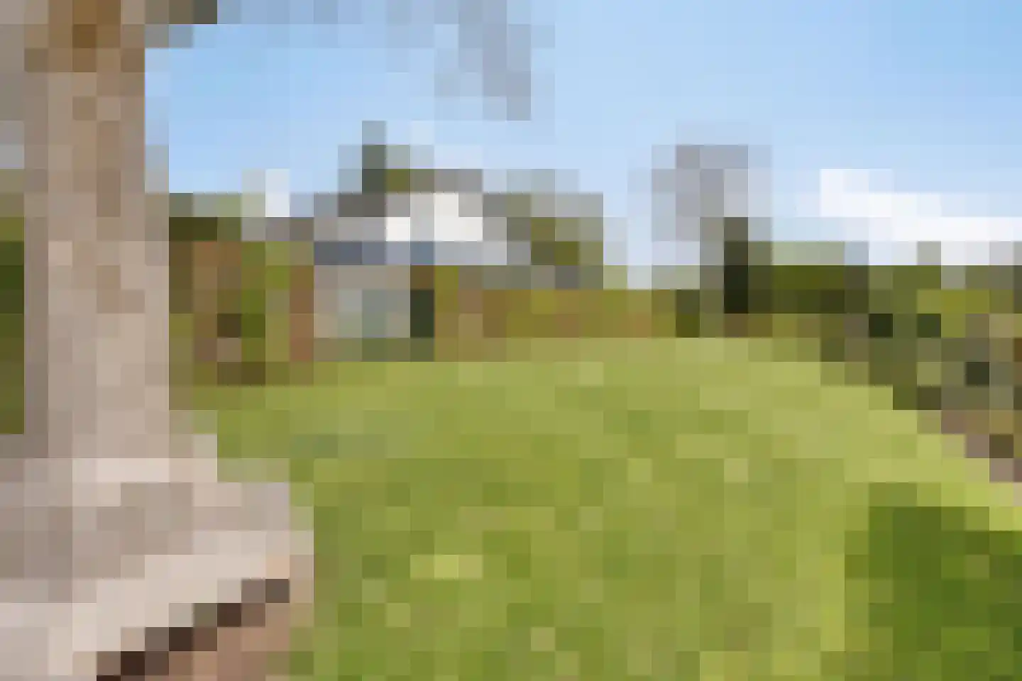 Molenaarlaan 8 Sittard thumbnail 93