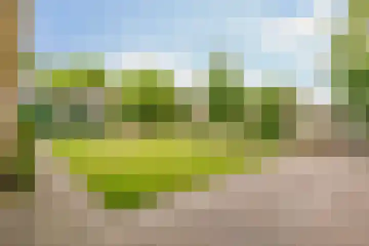 Molenaarsbreed 25 Drachten thumbnail 31