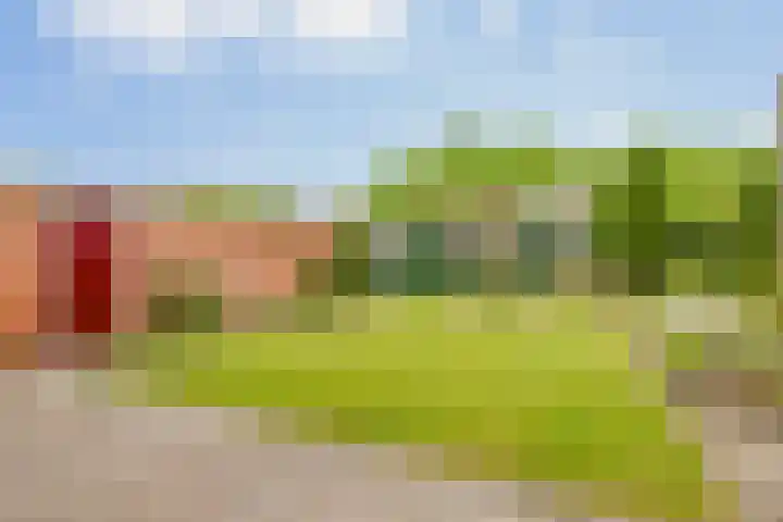 Molenaarsbreed 25 Drachten thumbnail 34