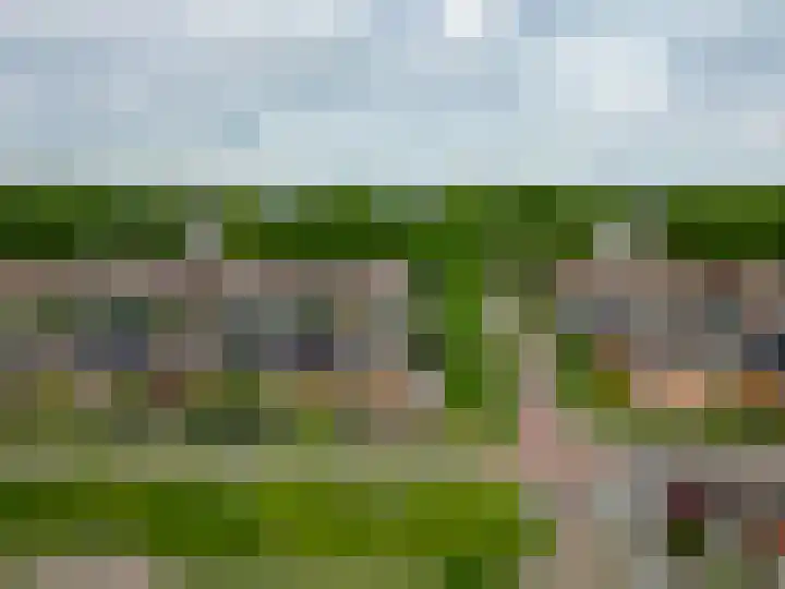 Molenaarsbreed 25 Drachten thumbnail 44