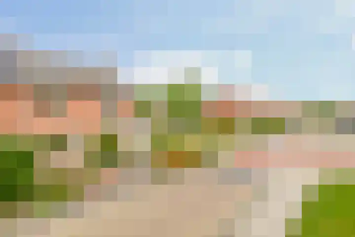 Molenaarsbreed 25 Drachten thumbnail 48