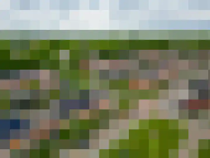 Molenaarsbreed 25 Drachten thumbnail 49