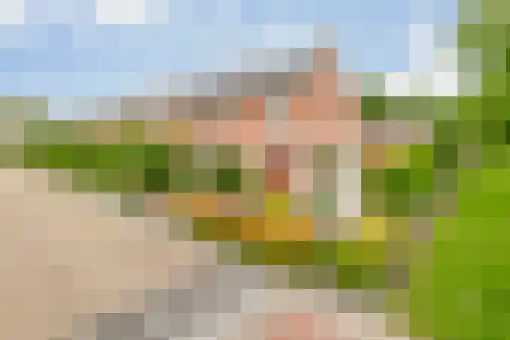 Molenaarsbreed 25 Drachten thumbnail 62