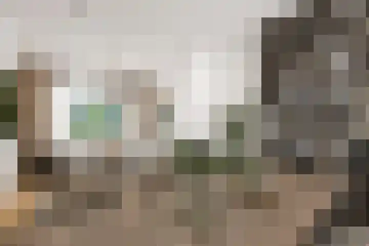 Molenaarsbreed 25 Drachten thumbnail 9