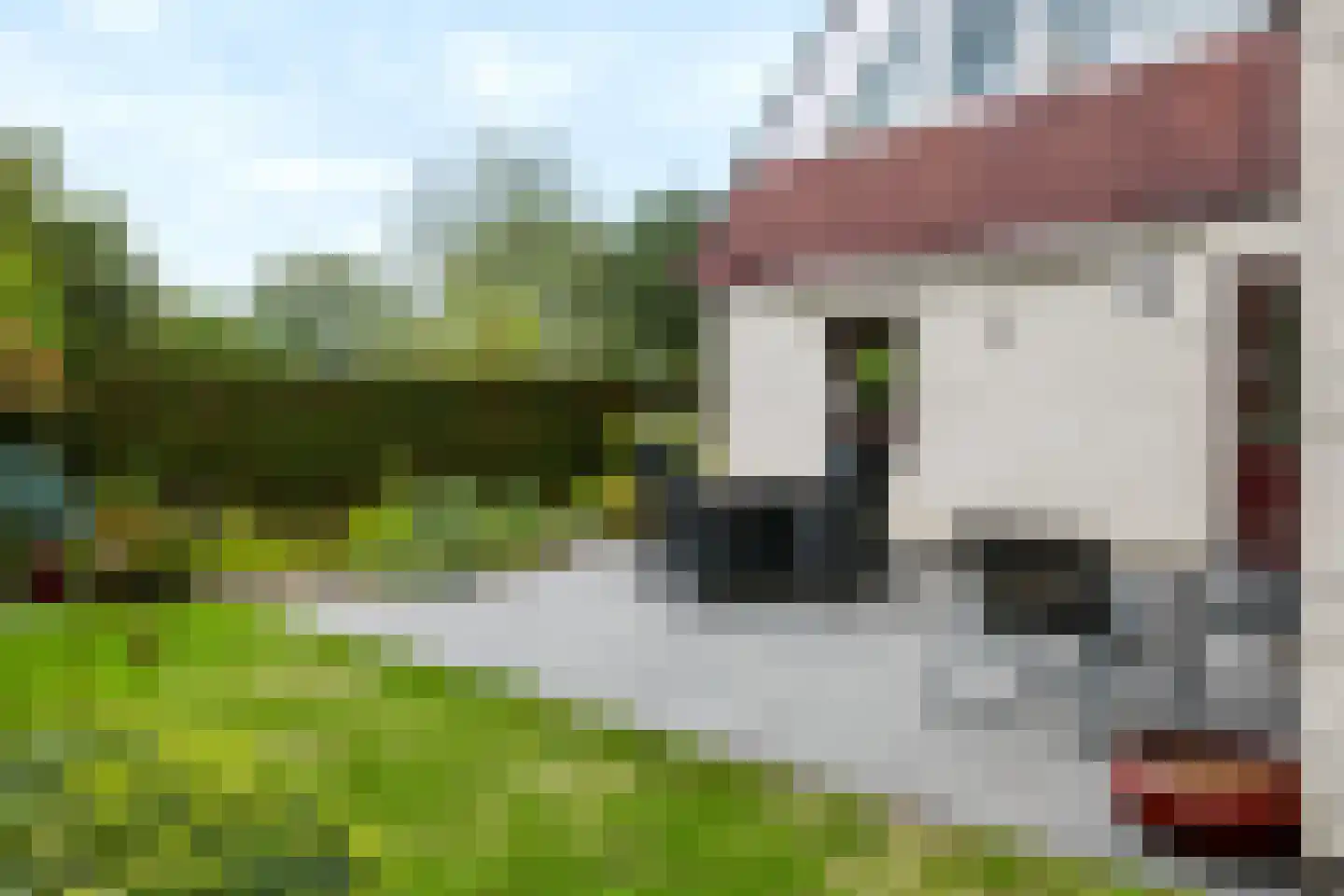 Molenaarserf 47 Eerbeek thumbnail 39