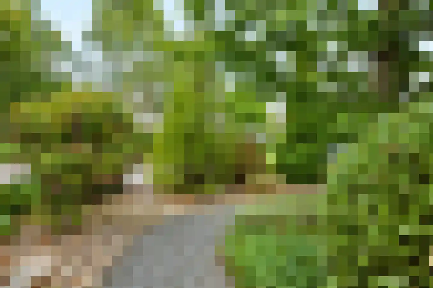 Molenaarserf 47 Eerbeek thumbnail 43