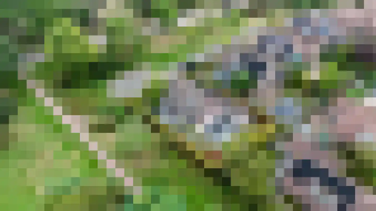 Molenaarserf 47 Eerbeek thumbnail 47