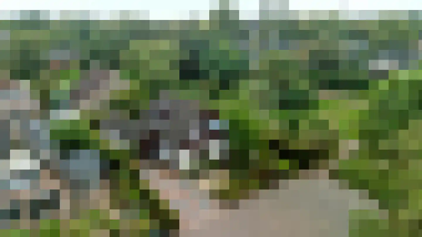 Molenaarserf 47 Eerbeek thumbnail 48