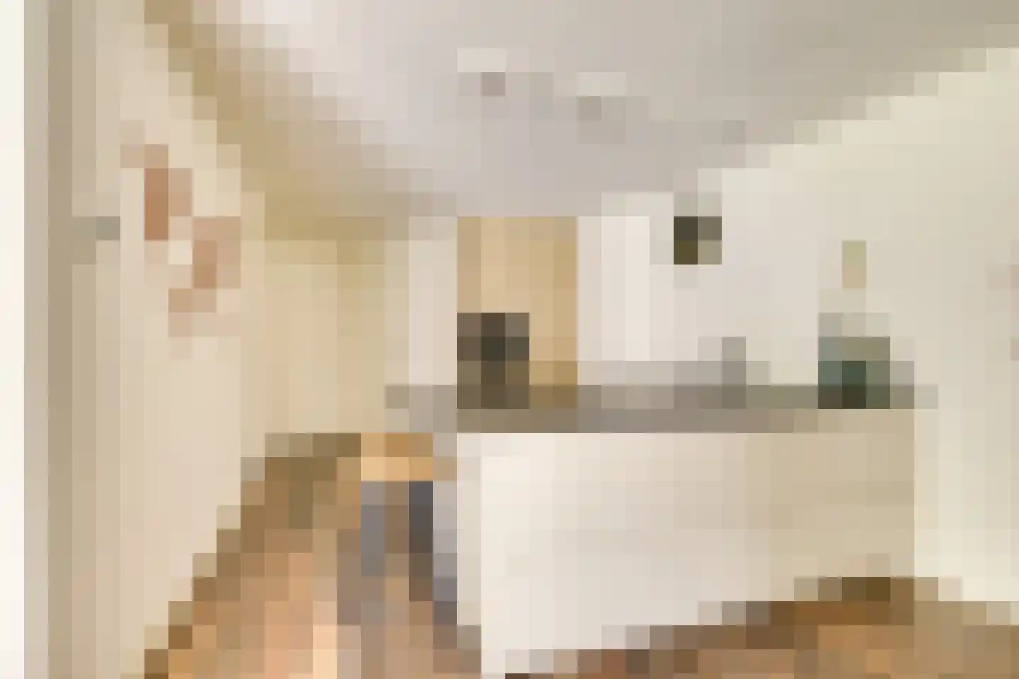 Molenaarserf 47 Houten thumbnail 12