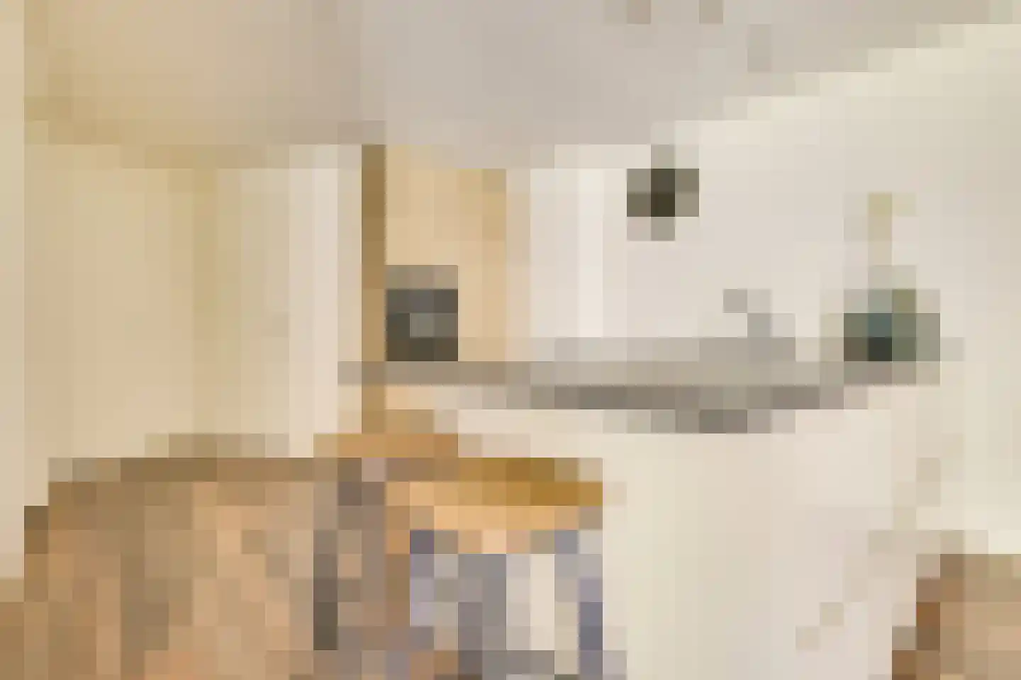 Molenaarserf 47 Houten thumbnail 14