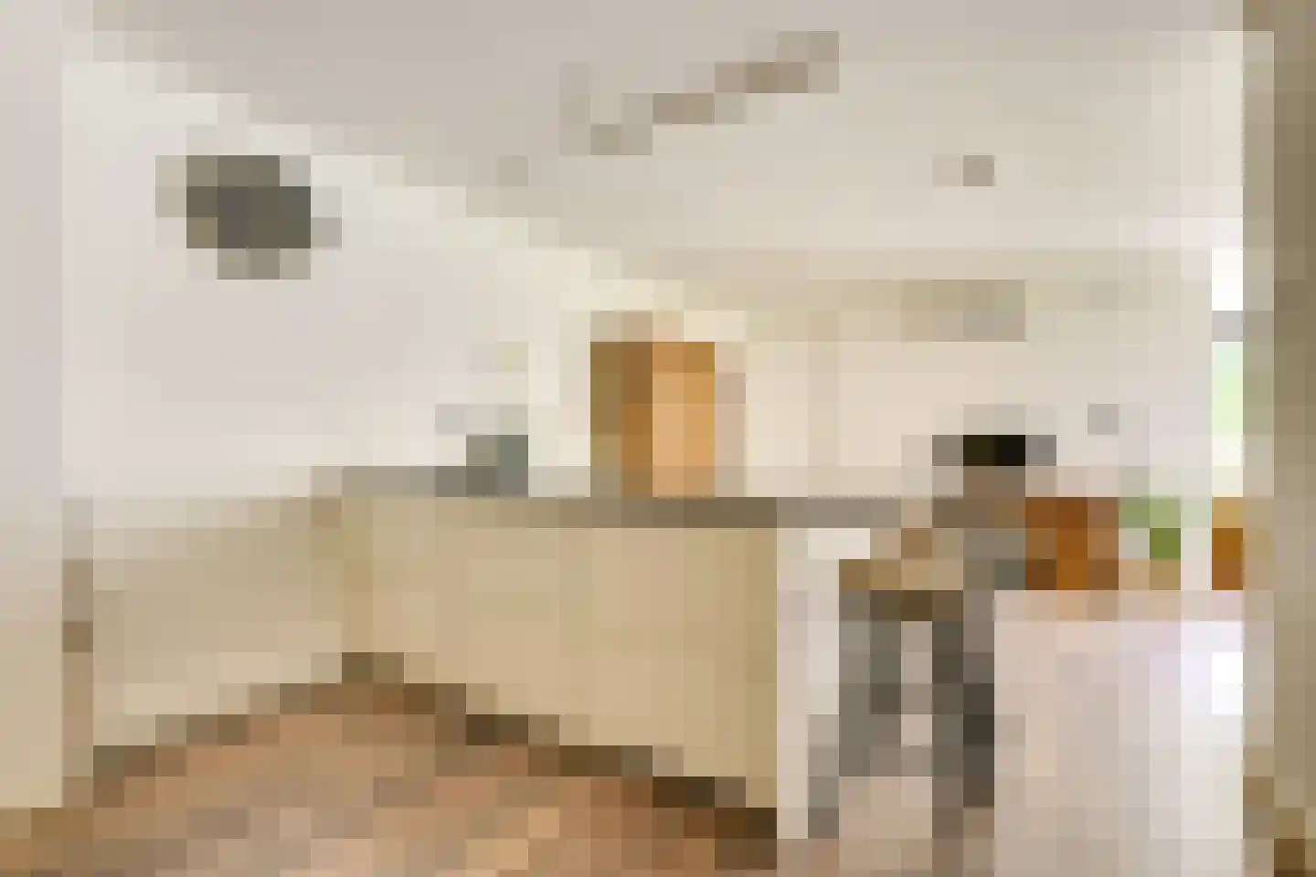 Molenaarserf 47 Houten thumbnail 15