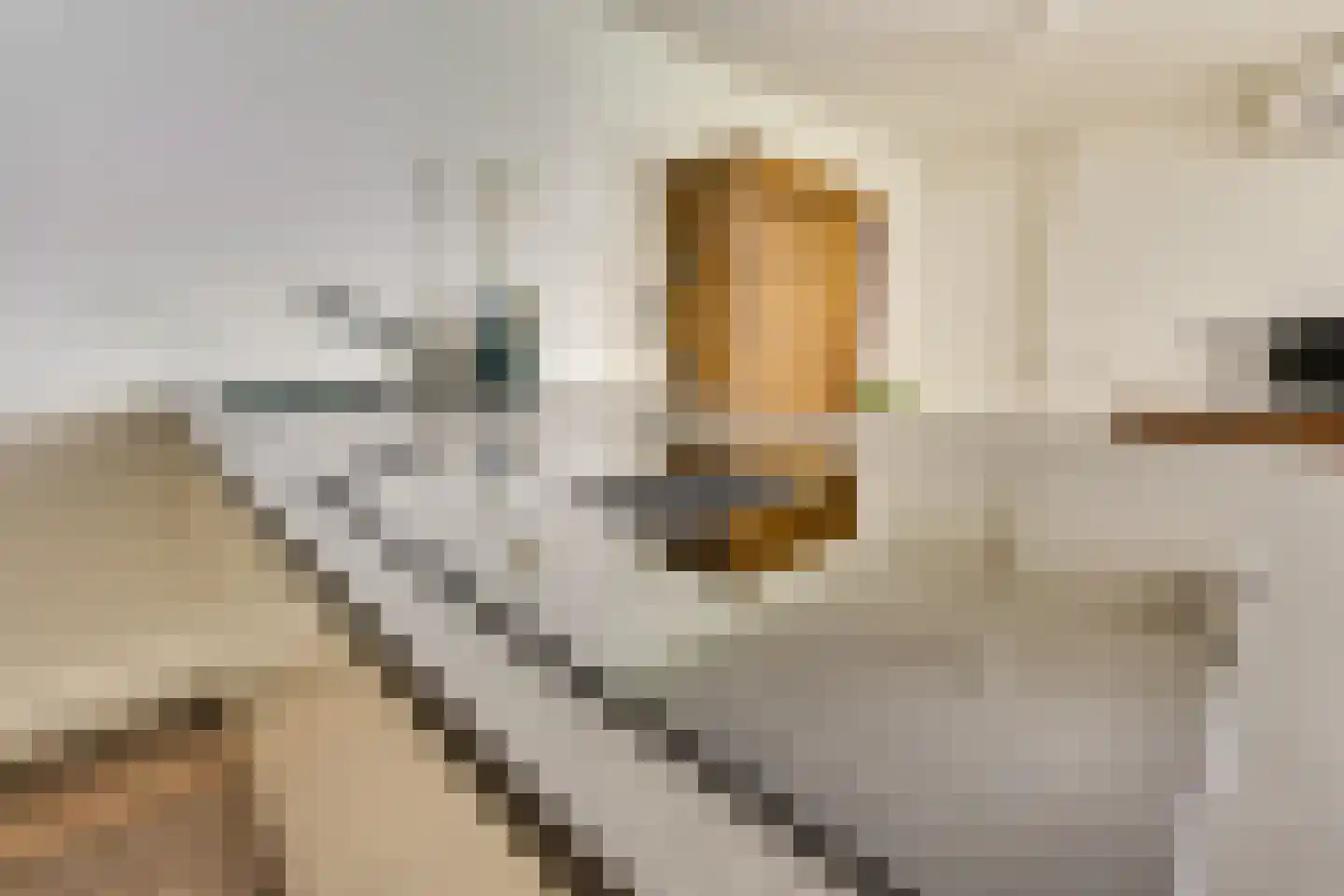 Molenaarserf 47 Houten thumbnail 16
