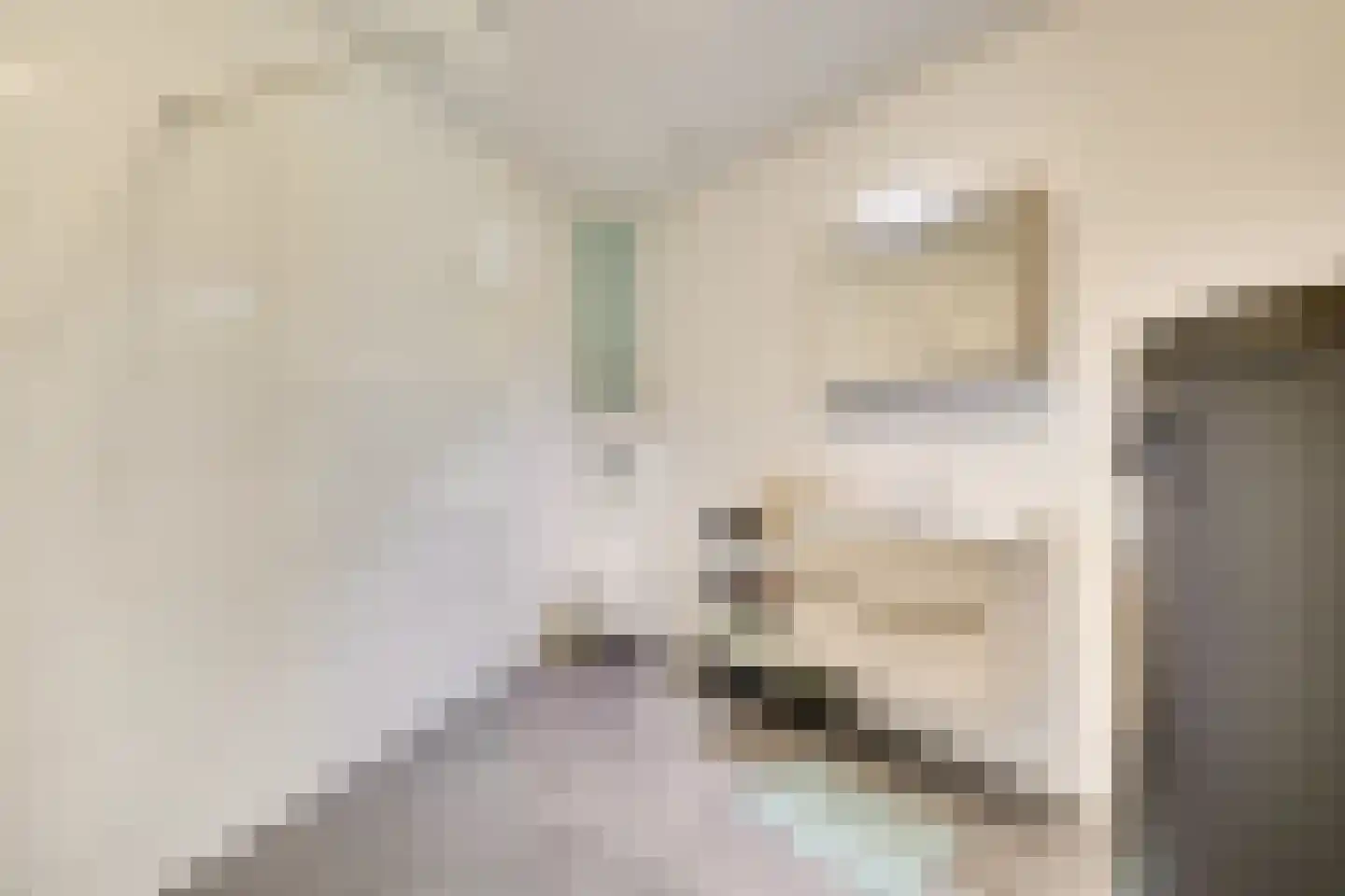 Molenaarserf 47 Houten thumbnail 21