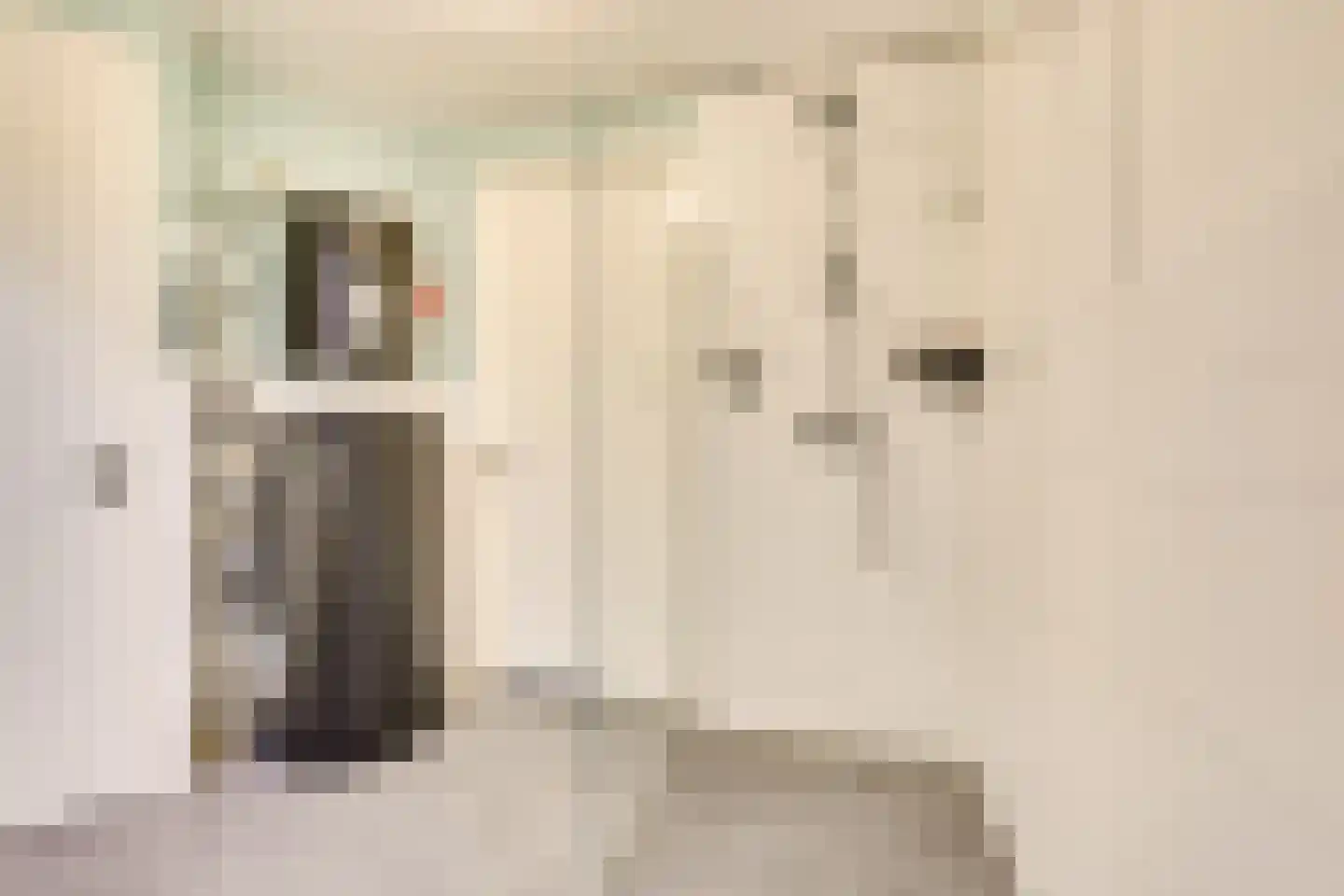 Molenaarserf 47 Houten thumbnail 24
