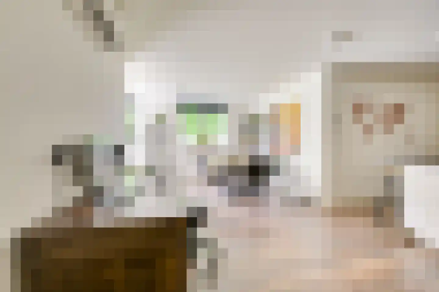 Molenaarserf 47 Houten thumbnail 5