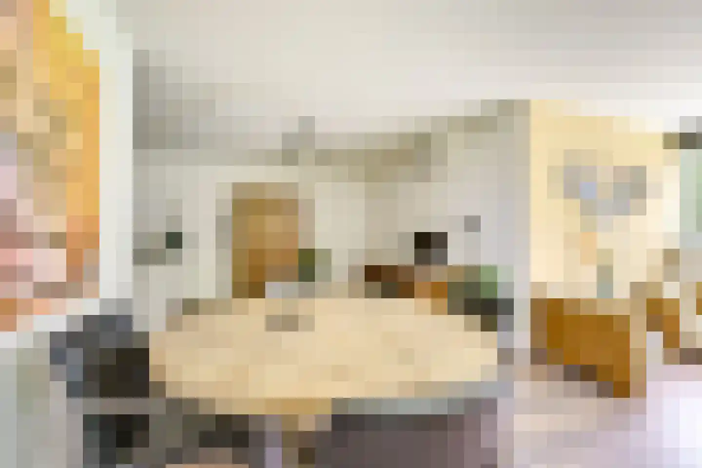 Molenaarserf 47 Houten thumbnail 9