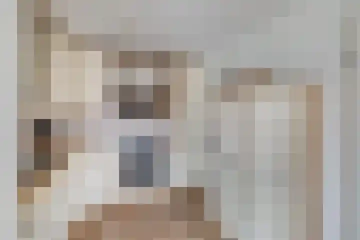 Molenaarserf 51 Houten thumbnail 19