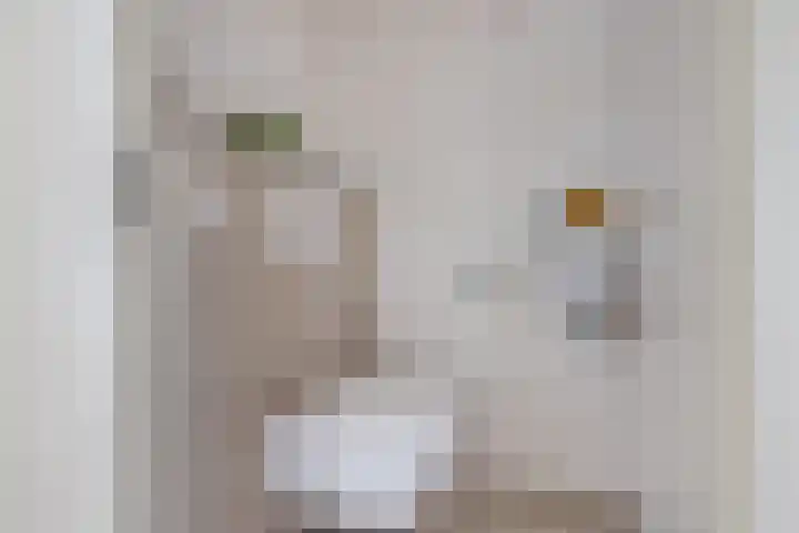 Molenaarserf 51 Houten thumbnail 27