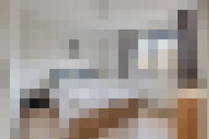 Molenaarserf 51 Houten thumbnail 29