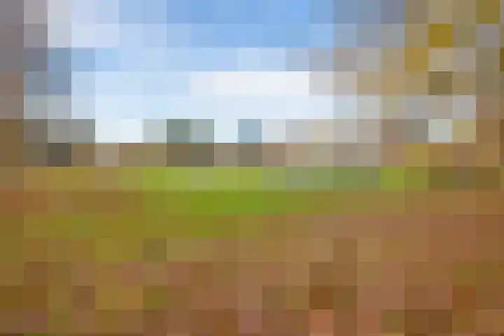 Molenaarserf 51 Houten thumbnail 36