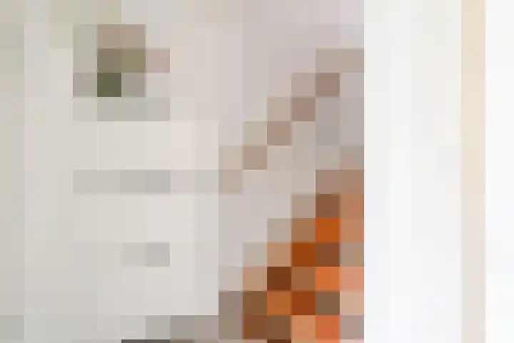 Molenaarserf 70 Houten thumbnail 10