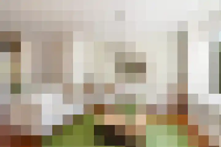 Molenaarserf 70 Houten thumbnail 12