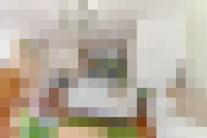Molenaarserf 70 Houten thumbnail 13