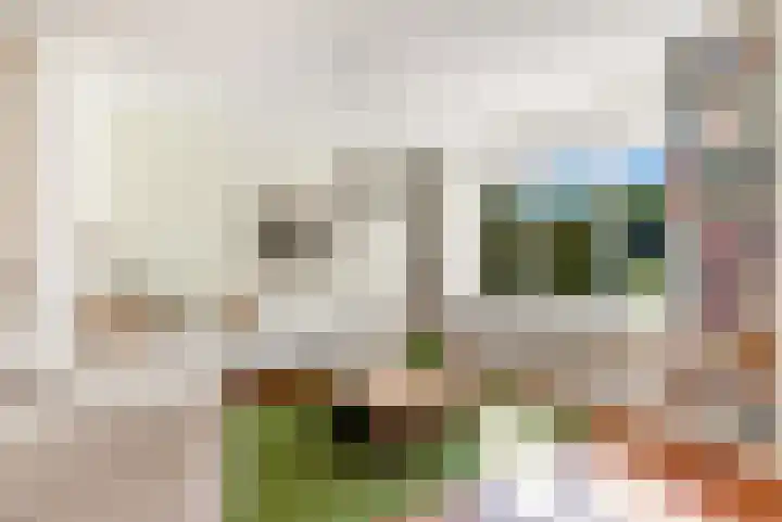 Molenaarserf 70 Houten thumbnail 16