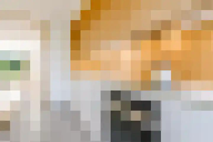 Molenaarserf 70 Houten thumbnail 20