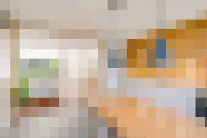 Molenaarserf 70 Houten thumbnail 25