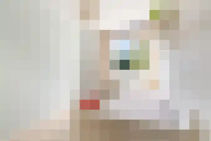 Molenaarserf 70 Houten thumbnail 30