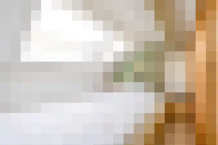Molenaarserf 70 Houten thumbnail 38