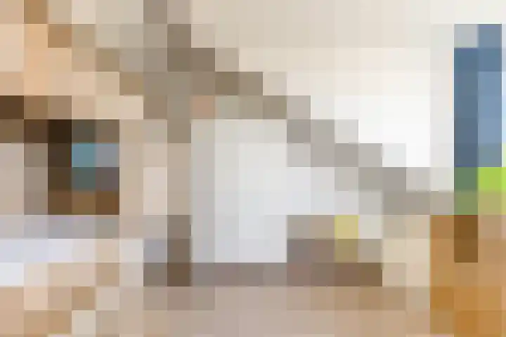 Molenaarserf 70 Houten thumbnail 44