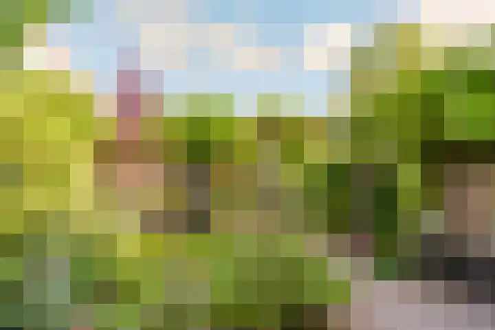 Molenaarserf 70 Houten thumbnail 49