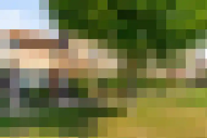 Molenaarserf 70 Houten thumbnail 5