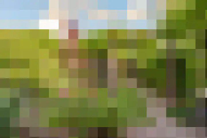 Molenaarserf 70 Houten thumbnail 50