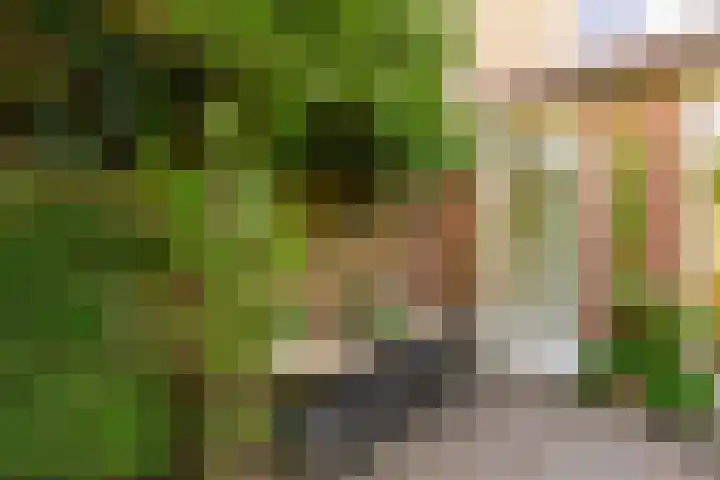 Molenaarserf 70 Houten thumbnail 51