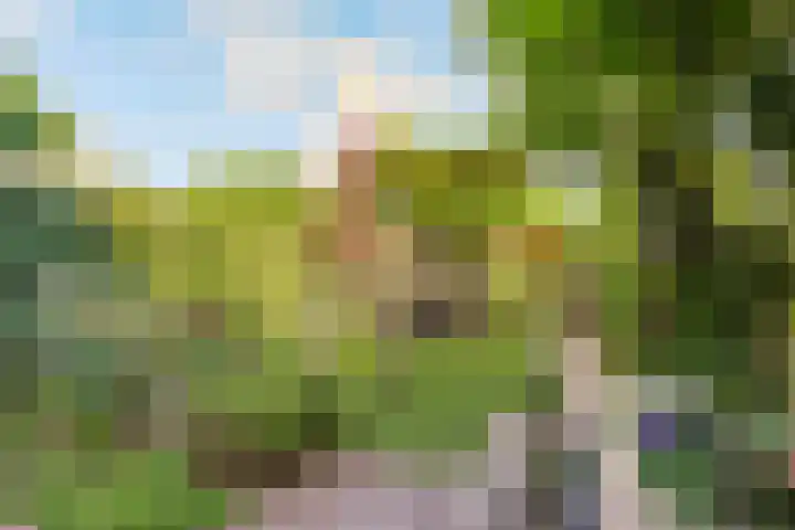 Molenaarserf 70 Houten thumbnail 52