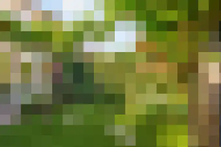 Molenaarserf 70 Houten thumbnail 53