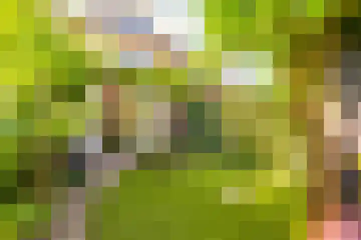 Molenaarserf 70 Houten thumbnail 54
