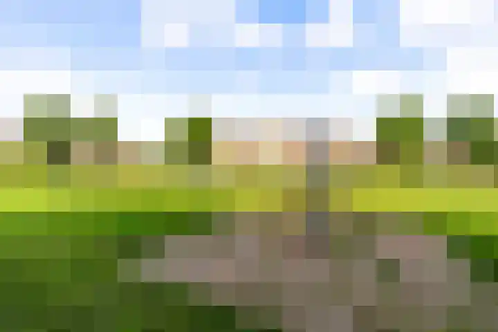 Molenaarserf 70 Houten thumbnail 55