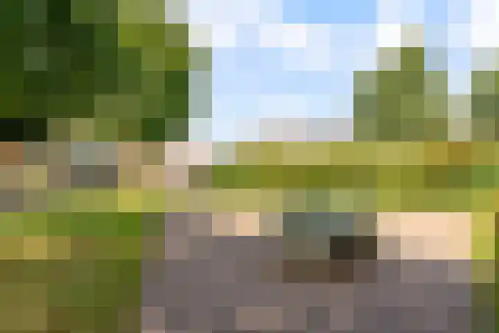 Molenaarserf 70 Houten thumbnail 56