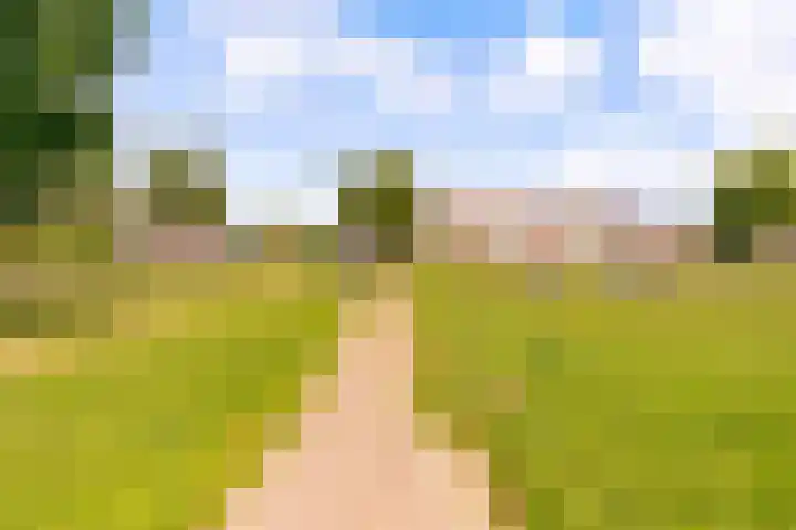 Molenaarserf 70 Houten thumbnail 57