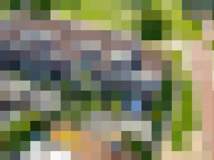 Molenaarserf 70 Houten thumbnail 60