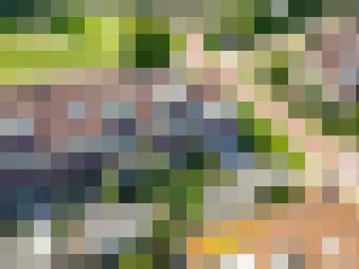 Molenaarserf 70 Houten thumbnail 61